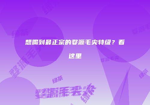 想喝到最正宗的婺源毛尖特级？看这里