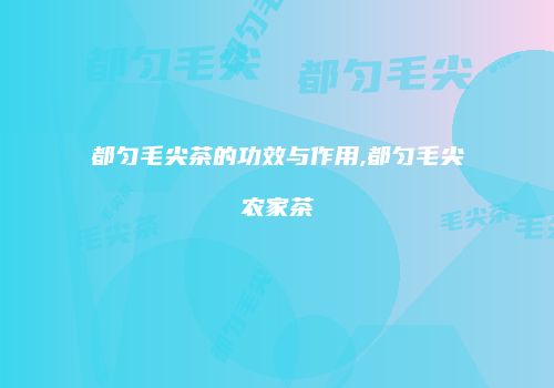 都匀毛尖茶的功效与作用,都匀毛尖农家茶