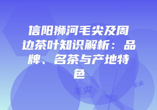 信阳狮河毛尖及周边茶叶知识解析：品牌、名茶与产地特色