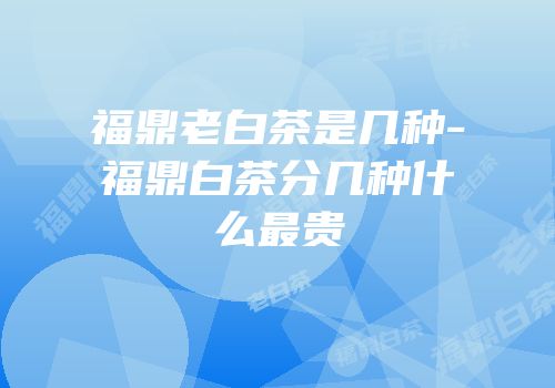 福鼎老白茶是几种-福鼎白茶分几种什么最贵