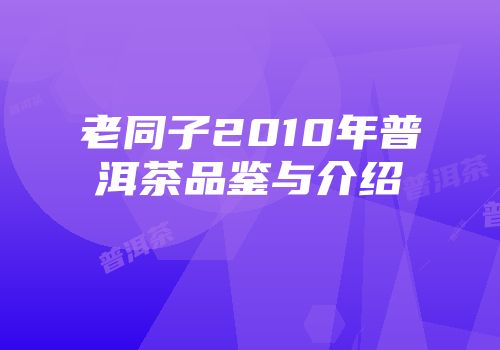 老同子2010年普洱茶品鉴与介绍