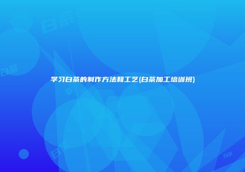 学习白茶的制作方法和工艺(白茶加工培训班)