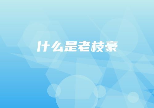 什么是老枝豪