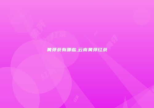 黄芽茶有哪些,云南黄芽红茶