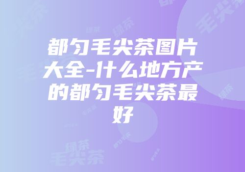 都匀毛尖茶图片大全-什么地方产的都匀毛尖茶最好