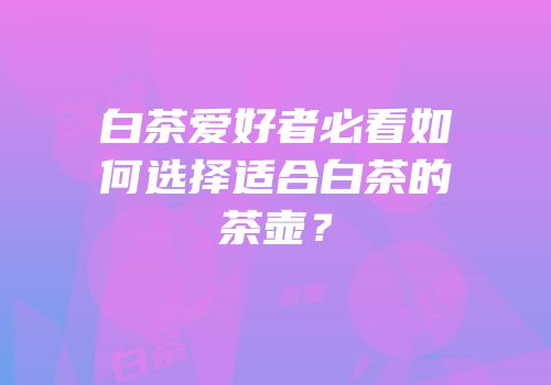 白茶爱好者必看如何选择适合白茶的茶壶？