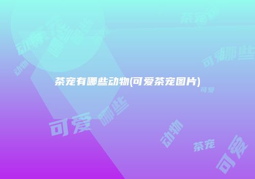 茶宠有哪些动物(可爱茶宠图片)