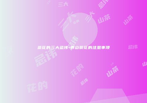 茶花的三大忌讳-养山茶花的注意事项