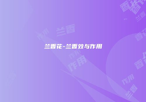兰香花-兰香效与作用