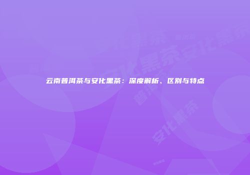 云南普洱茶与安化黑茶：深度解析、区别与特点