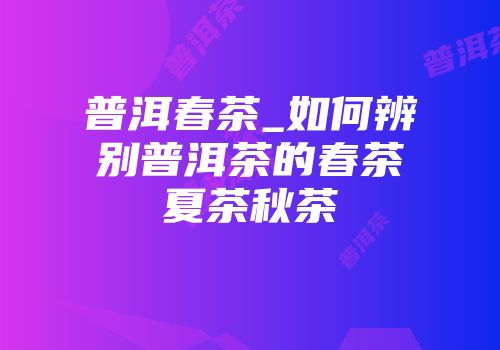 普洱春茶_如何辨别普洱茶的春茶夏茶秋茶