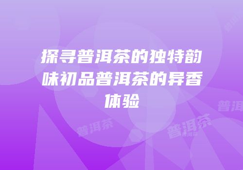 探寻普洱茶的独特韵味初品普洱茶的异香体验