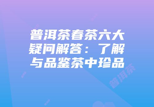 普洱茶春茶六大疑问解答：了解与品鉴茶中珍品