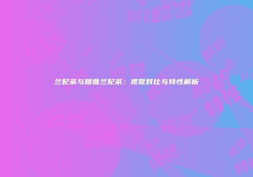 兰妃茶与踏雪兰妃茶：视觉对比与特性解析