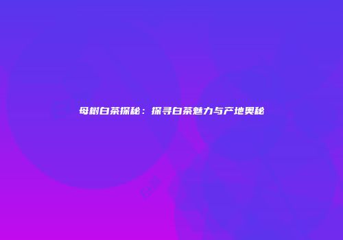 母树白茶探秘：探寻白茶魅力与产地奥秘