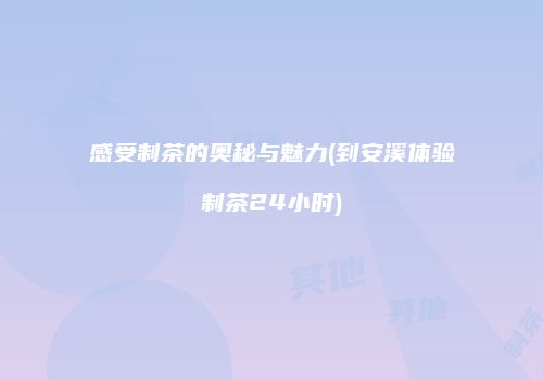 感受制茶的奥秘与魅力(到安溪体验制茶24小时)