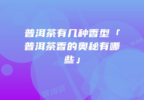 普洱茶有几种香型「普洱茶香的奥秘有哪些」