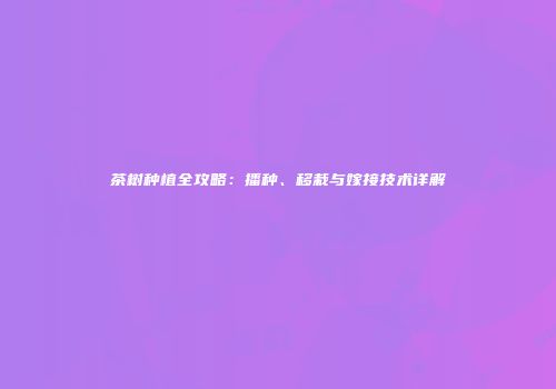茶树种植全攻略：播种、移栽与嫁接技术详解