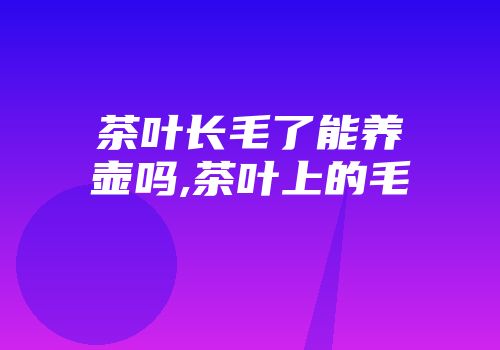 茶叶长毛了能养壶吗,茶叶上的毛