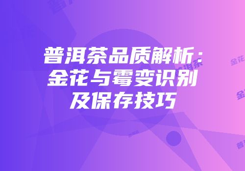 普洱茶品质解析：金花与霉变识别及保存技巧