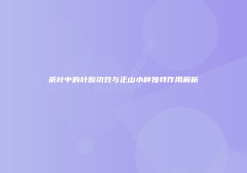 茶叶中的叶酸功效与正山小种独特作用解析
