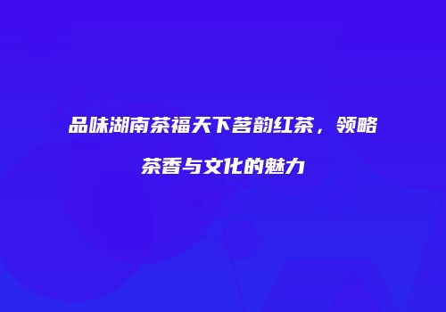 品味湖南茶福天下茗韵红茶，领略茶香与文化的魅力