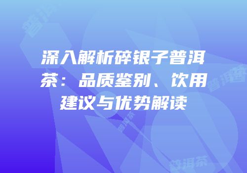 深入解析碎银子普洱茶：品质鉴别、饮用建议与优势解读