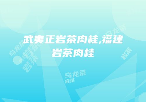 武夷正岩茶肉桂,福建岩茶肉桂