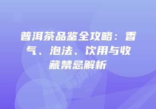 普洱茶品鉴全攻略：香气、泡法、饮用与收藏禁忌解析