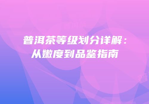 普洱茶等级划分详解：从嫩度到品鉴指南
