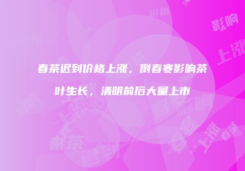 春茶迟到价格上涨，倒春寒影响茶叶生长，清明前后大量上市