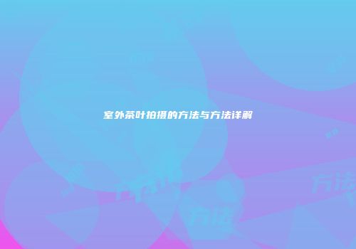室外茶叶拍摄的方法与方法详解