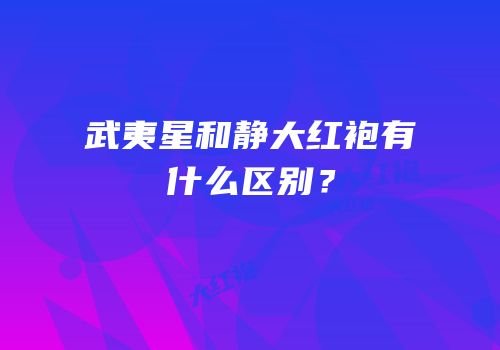 武夷星和静大红袍有什么区别？