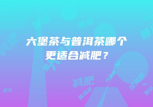 六堡茶与普洱茶哪个更适合减肥？