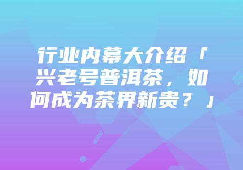行业内幕大介绍「兴老号普洱茶，如何成为茶界新贵？」
