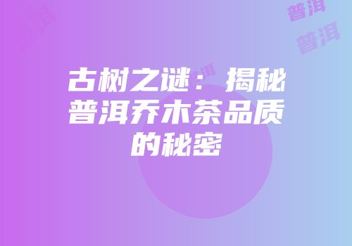 古树之谜：揭秘普洱乔木茶品质的秘密