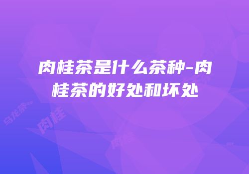 肉桂茶是什么茶种-肉桂茶的好处和坏处