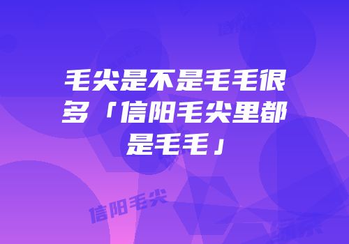 毛尖是不是毛毛很多「信阳毛尖里都是毛毛」