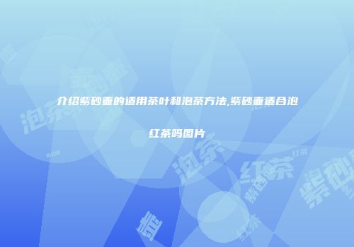 介绍紫砂壶的适用茶叶和泡茶方法,紫砂壶适合泡红茶吗图片