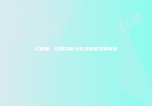 红茶菌：药用功能与生活应用全面解析