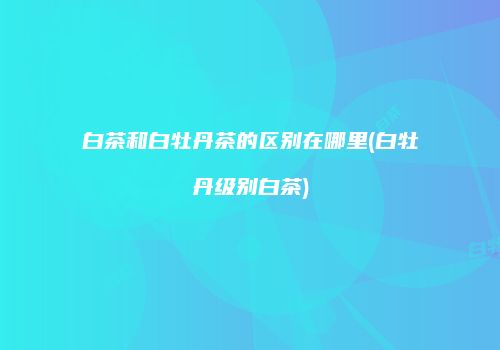 白茶和白牡丹茶的区别在哪里(白牡丹级别白茶)