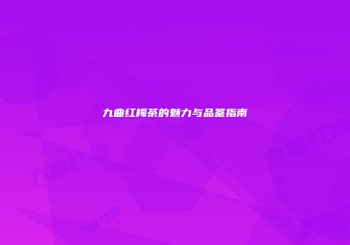 九曲红梅茶的魅力与品鉴指南