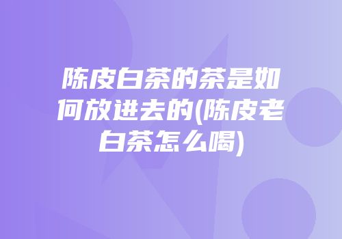 陈皮白茶的茶是如何放进去的(陈皮老白茶怎么喝)