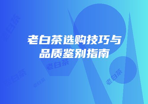 老白茶选购技巧与品质鉴别指南