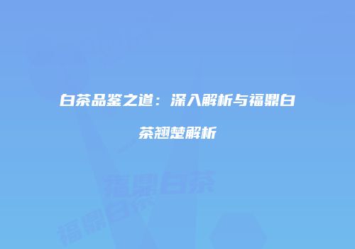 白茶品鉴之道：深入解析与福鼎白茶翘楚解析