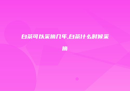 白茶可以采摘几年,白茶什么时候采摘