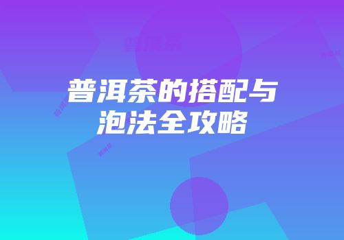 普洱茶的搭配与泡法全攻略