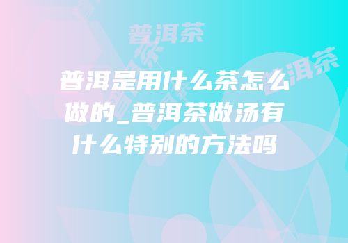 普洱是用什么茶怎么做的_普洱茶做汤有什么特别的方法吗
