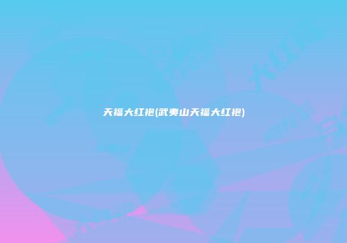 天福大红袍(武夷山天福大红袍)