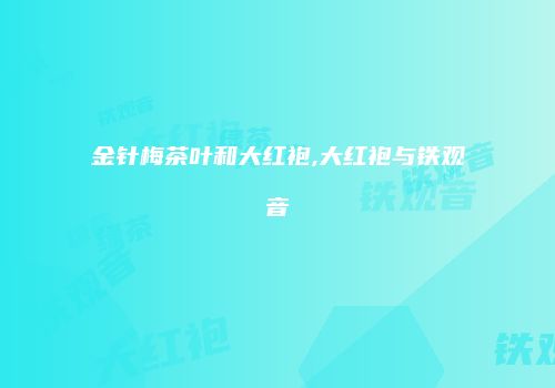 金针梅茶叶和大红袍,大红袍与铁观音